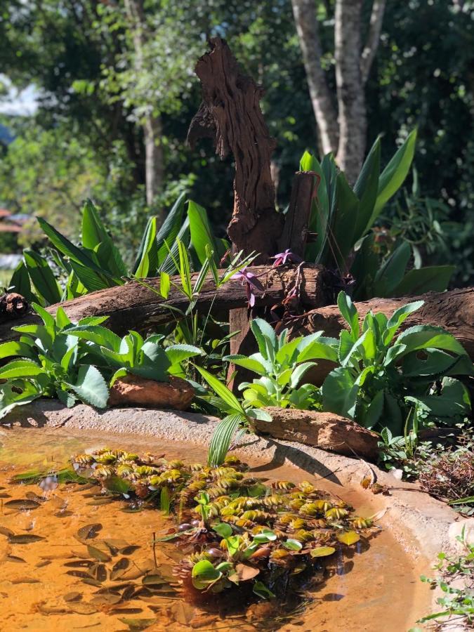 Pousada Casa Ferreira Pirenópolis Zewnętrze zdjęcie